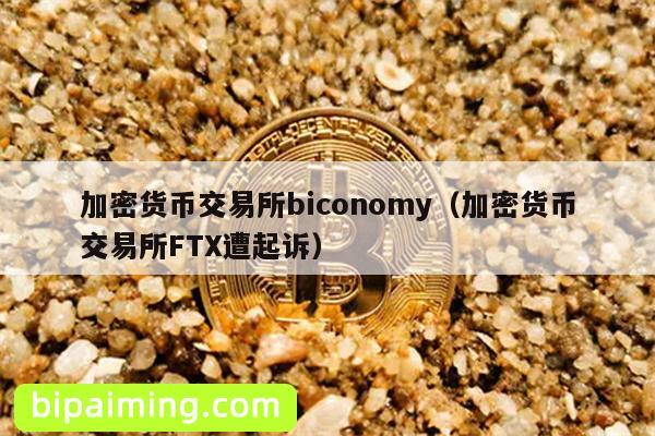 加密货币交易所biconomy（加密货币交易所FTX遭起诉）