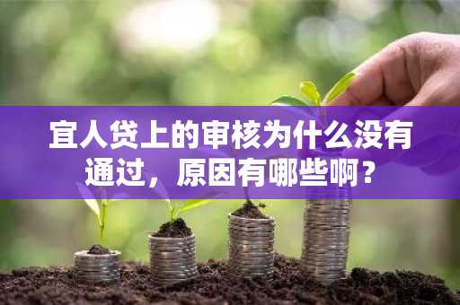 宜人贷上的审核为什么没有通过，原因有哪些啊？