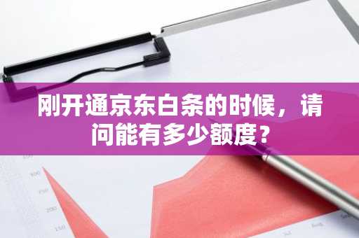 刚开通京东白条的时候，请问能有多少额度？