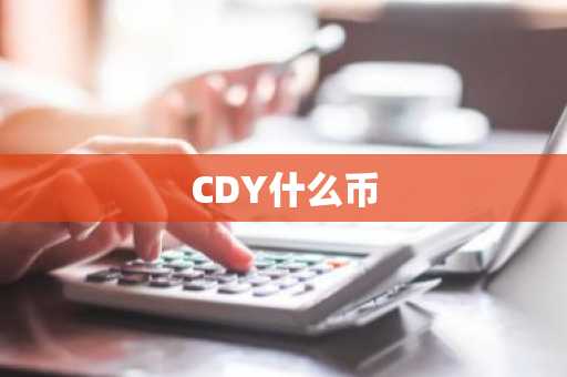 CDY什么币