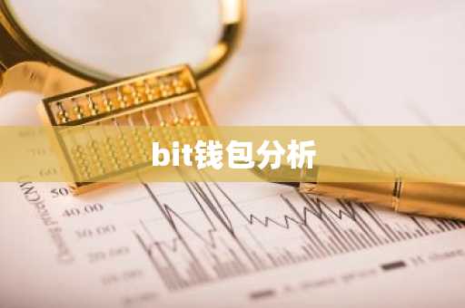 bit钱包分析