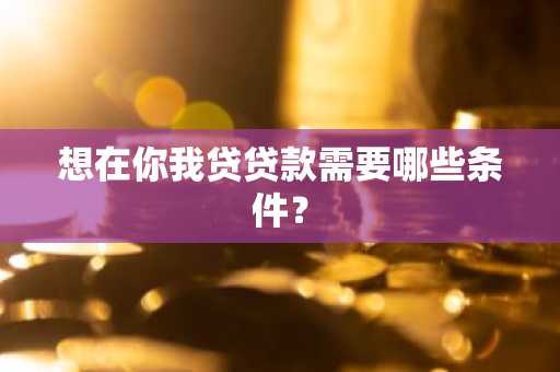 想在你我贷贷款需要哪些条件？