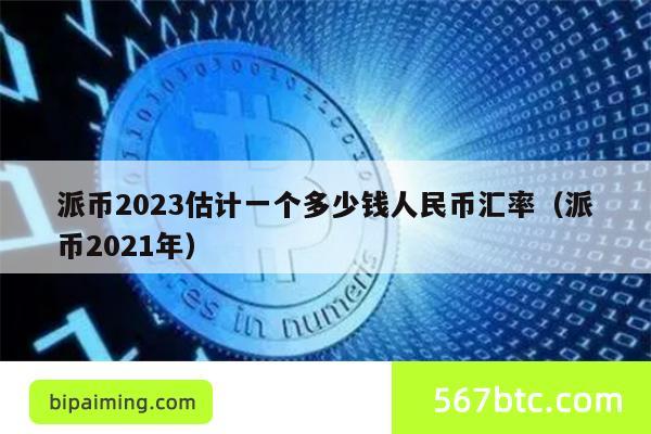 派币2023估计一个多少钱人民币汇率（派币2021年）