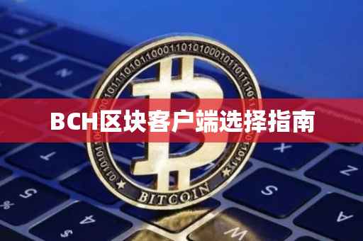 BCH区块客户端选择指南
