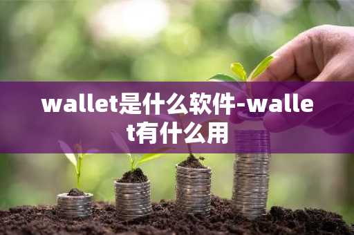 wallet是什么软件-wallet有什么用