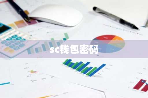sc钱包密码