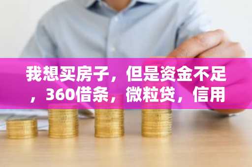 我想买房子，但是资金不足，360借条，微粒贷，信用卡现金分期，浦发青春贷，像这些网贷可以申请吗？申请下来的款可以用来交房子的首付吗？
