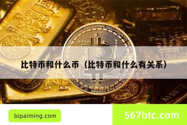 比特币和什么币（比特币和什么有关系）