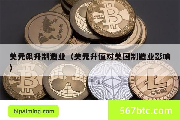 美元飙升制造业（美元升值对美国制造业影响）