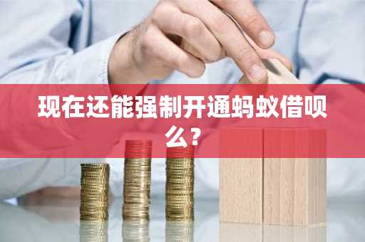 现在还能强制开通蚂蚁借呗么？