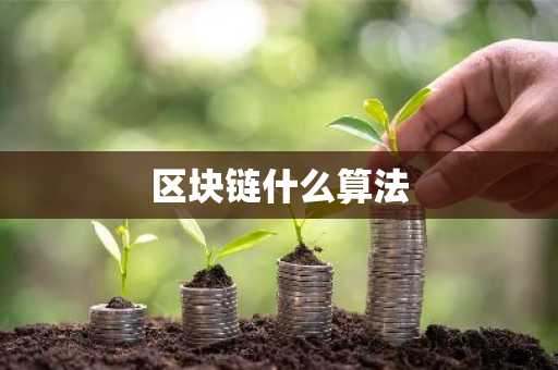 区块链什么算法