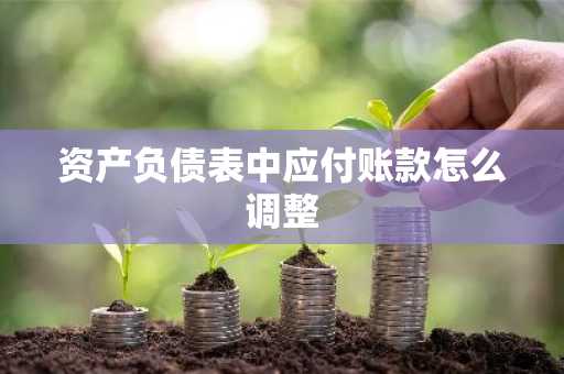 资产负债表中应付账款怎么调整