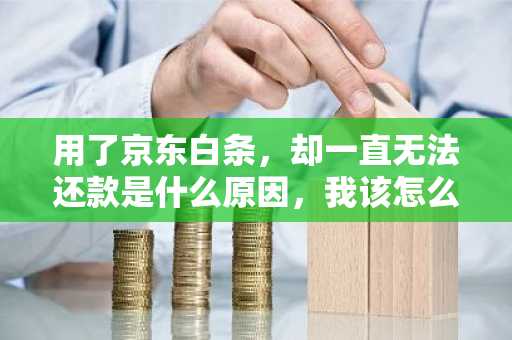 用了京东白条，却一直无法还款是什么原因，我该怎么办？