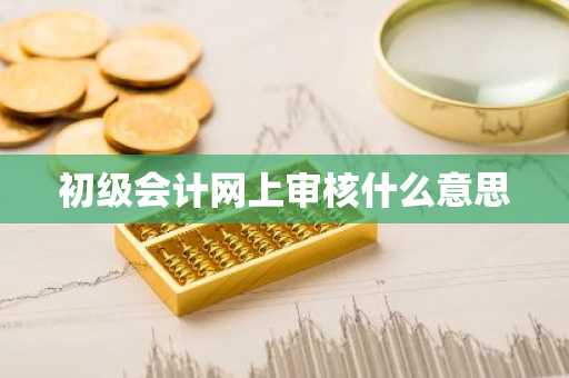 初级会计网上审核什么意思