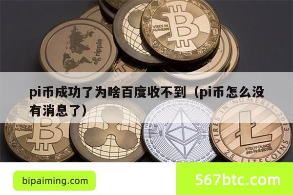 pi币成功了为啥百度收不到（pi币怎么没有消息了）