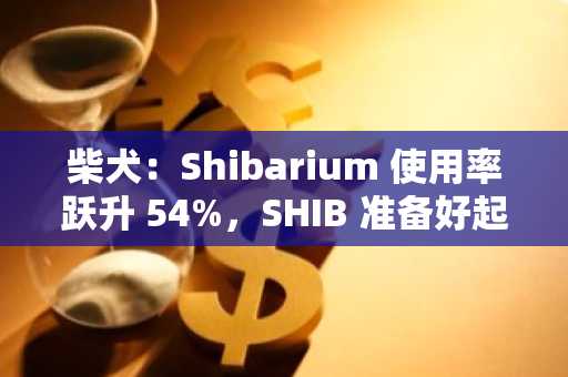 柴犬：Shibarium 使用率跃升 54%，SHIB 准备好起飞了吗？