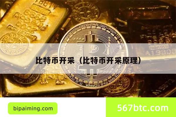 比特币开采（比特币开采原理）