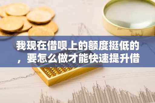 我现在借呗上的额度挺低的，要怎么做才能快速提升借呗的额度？