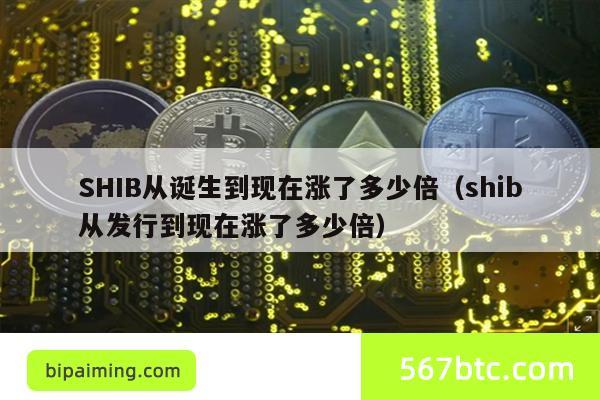 SHIB从诞生到现在涨了多少倍（shib从发行到现在涨了多少倍）