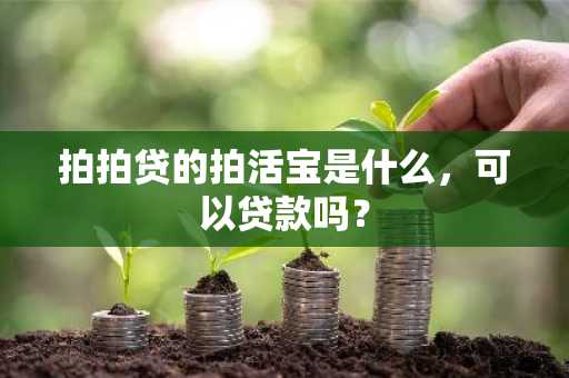 拍拍贷的拍活宝是什么，可以贷款吗？