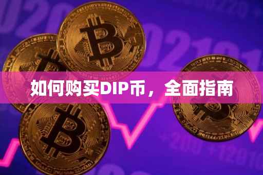 如何购买DIP币，全面指南