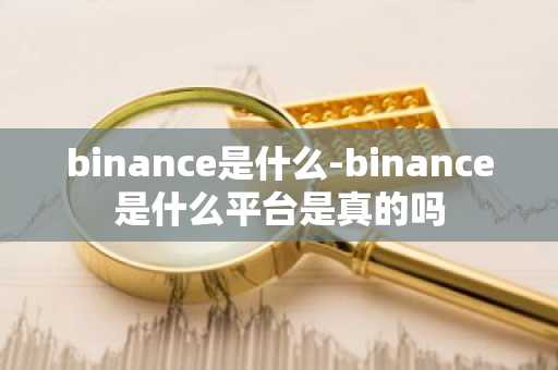 binance是什么-binance是什么平台是真的吗