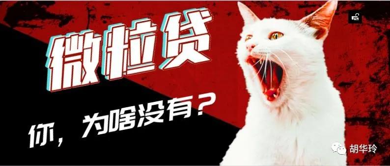 微信如何有微粒贷（微信如何能有微粒贷）