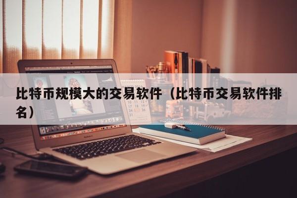 比特币规模大的交易软件（比特币交易软件排名）