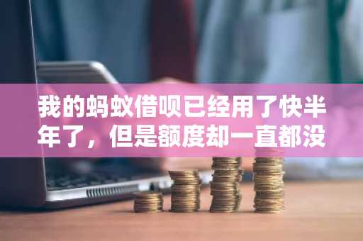 我的蚂蚁借呗已经用了快半年了，但是额度却一直都没有涨，要怎么做才可以提升额度？