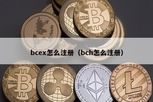bcex怎么注册（bch怎么注册）