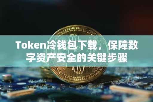 Token冷钱包下载，保障数字资产安全的关键步骤
