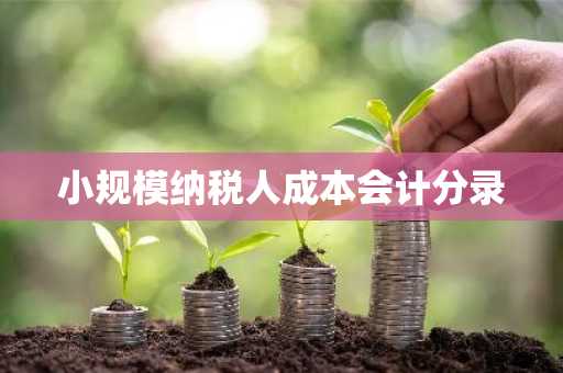 小规模纳税人成本会计分录