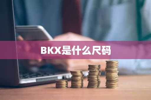 BKX是什么尺码