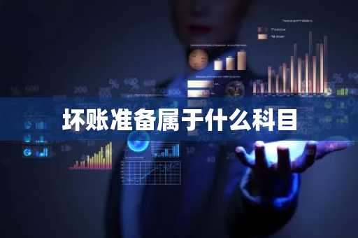 坏账准备属于什么科目