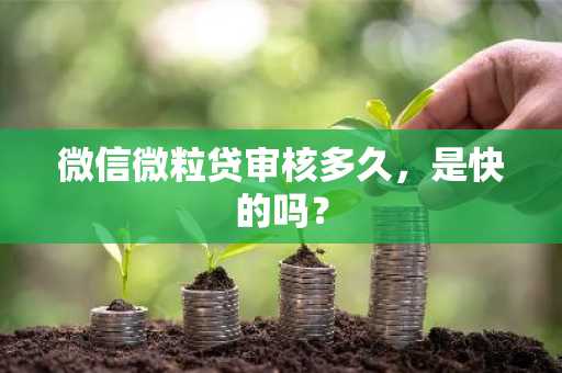 微信微粒贷审核多久，是快的吗？