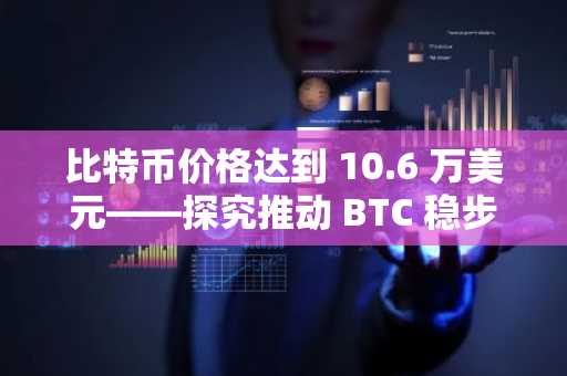 比特币价格达到 10.6 万美元——探究推动 BTC 稳步上涨的 4 个催化剂