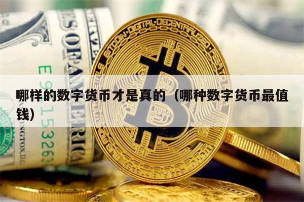 哪样的数字货币才是真的（哪种数字货币最值钱）