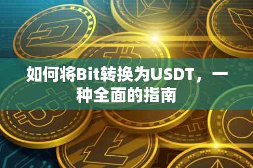 如何将Bit转换为USDT，一种全面的指南
