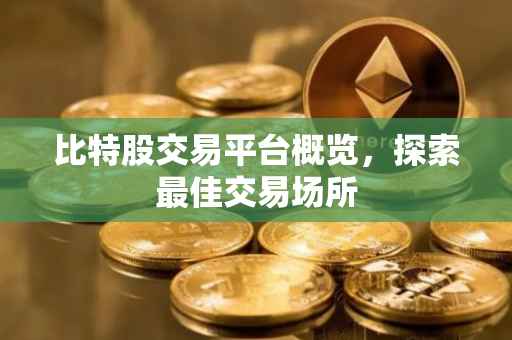 比特股交易平台概览，探索最佳交易场所