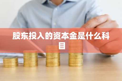 股东投入的资本金是什么科目