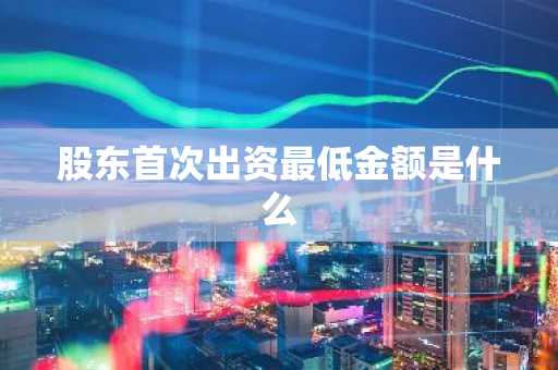 股东首次出资最低金额是什么
