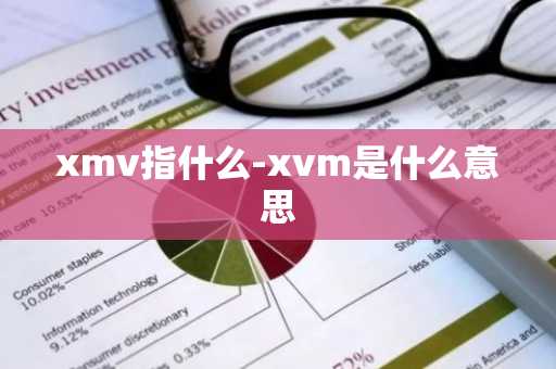 xmv指什么-xvm是什么意思