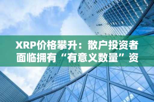 XRP价格攀升：散户投资者面临拥有“有意义数量”资产的挑战