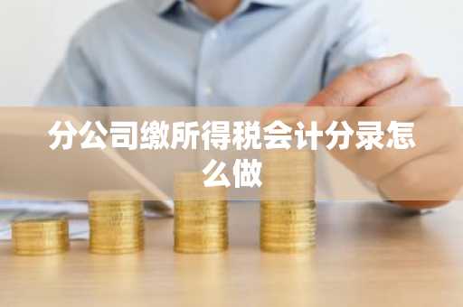 分公司缴所得税会计分录怎么做
