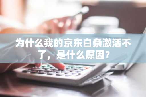 为什么我的京东白条激活不了，是什么原因？