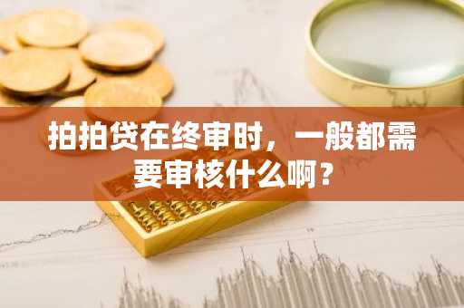 拍拍贷在终审时，一般都需要审核什么啊？