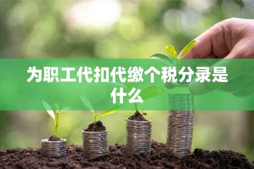为职工代扣代缴个税分录是什么