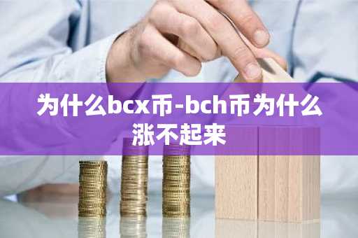 为什么bcx币-bch币为什么涨不起来
