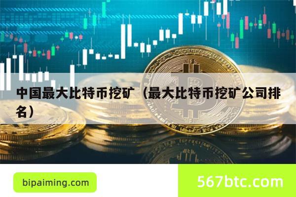 中国最大比特币挖矿（最大比特币挖矿公司排名）