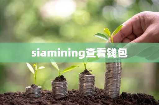 siamining查看钱包